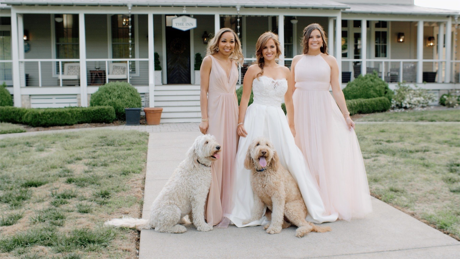 Wedding Party with dogs